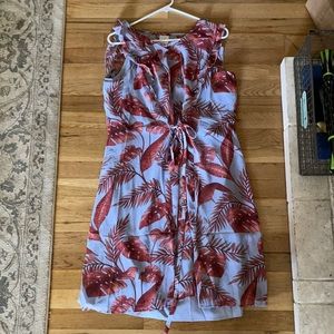 CAbi dress